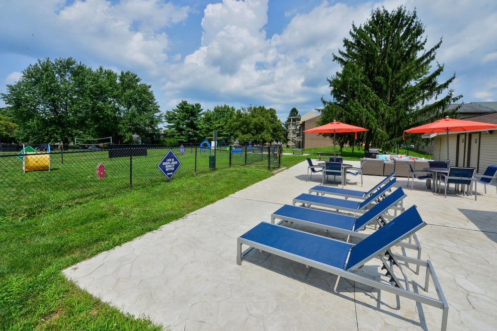 Sunny outdoor lounge area and an onsite dog park at Briarwood Apartments & Townhomes in State College, Pennsylvania