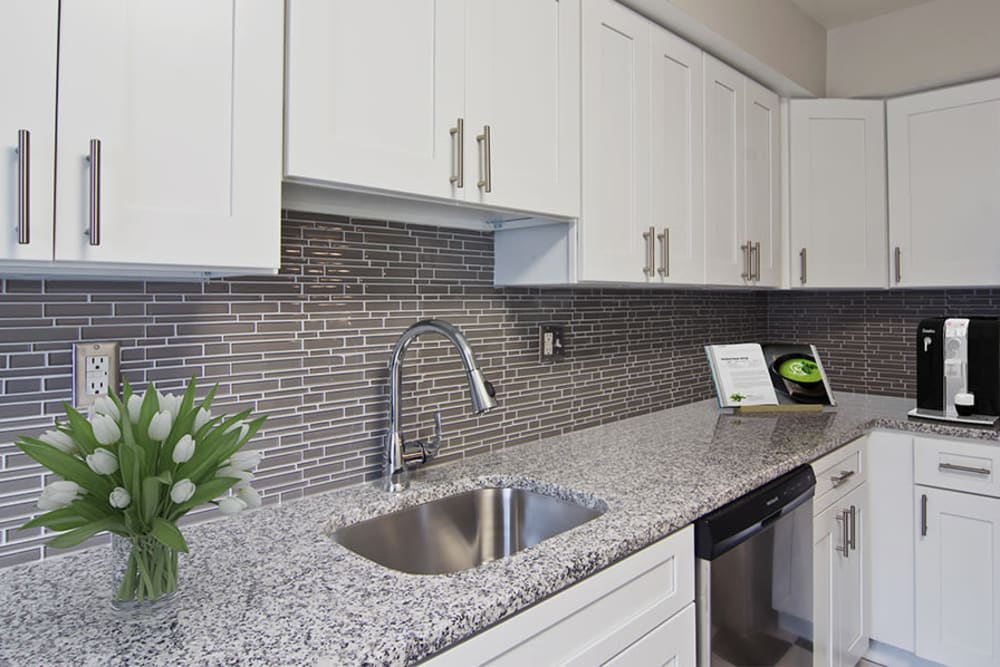 Kitchen with modern white cabinets and stainless appliances at Nineteen North Apartments in Pittsburgh, Pennsylvania
