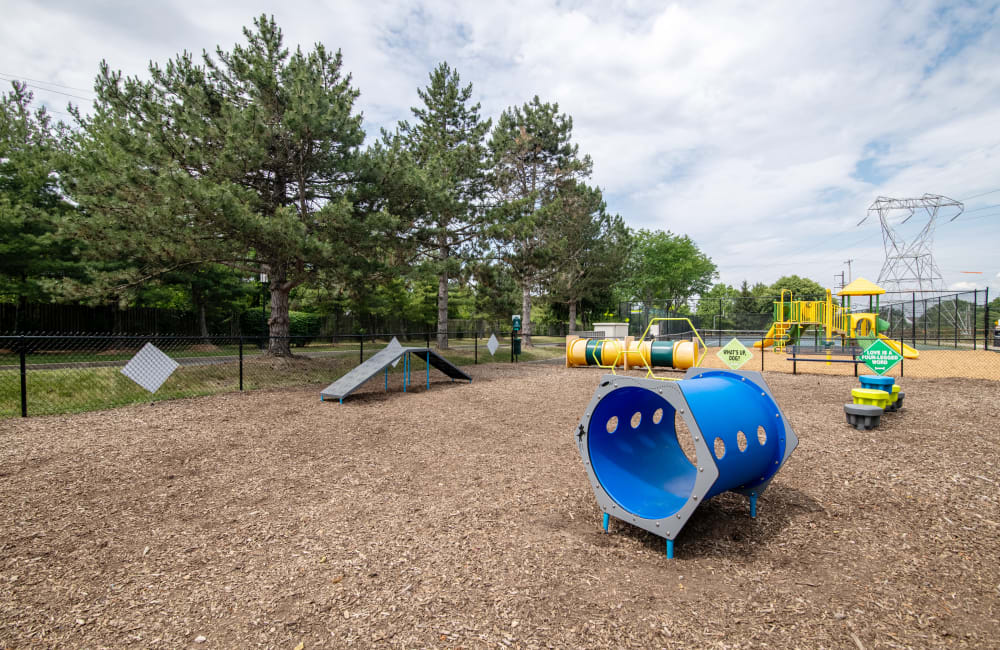 Fenced dog park at Abrams Run Apartment Homes in King of Prussia, Pennsylvania