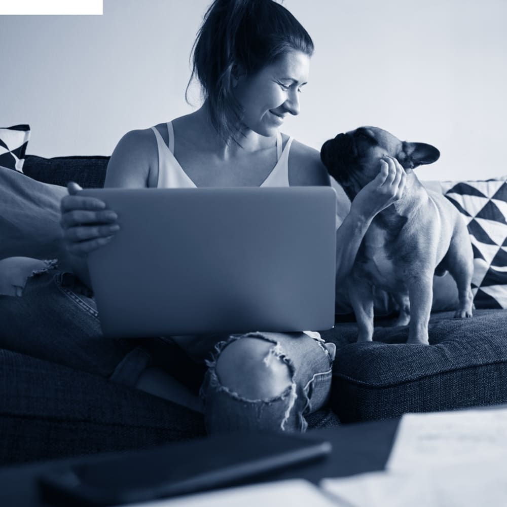 Resident studying with some help from her French bulldog at The Villas at Bryn Mawr Apartment Homes in Bryn Mawr, Pennsylvania