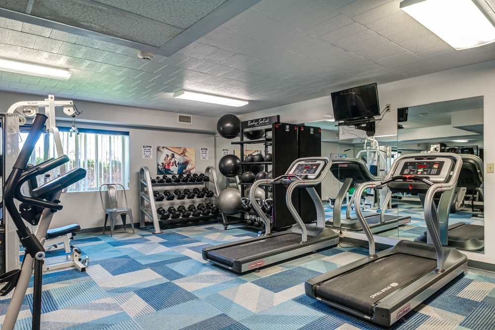 Fitness center at The Avalon Apartment Homes in Avalon, Pennsylvania