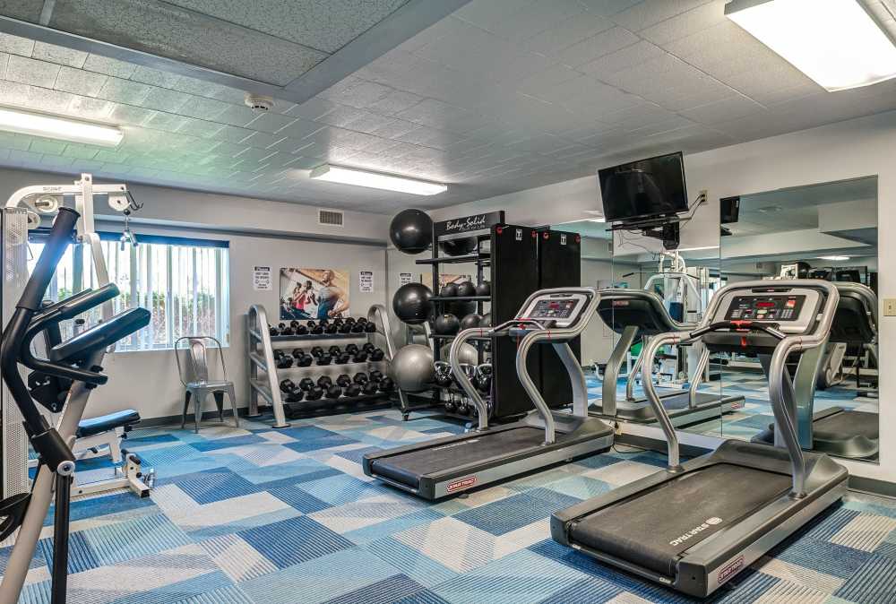 Fitness center at The Avalon Apartment Homes in Avalon, Pennsylvania