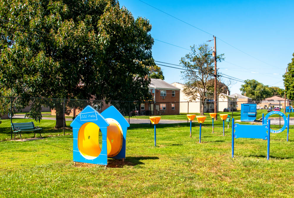 Dog park at Camp Hill Plaza Apartment Homes in Camp Hill, Pennsylvania