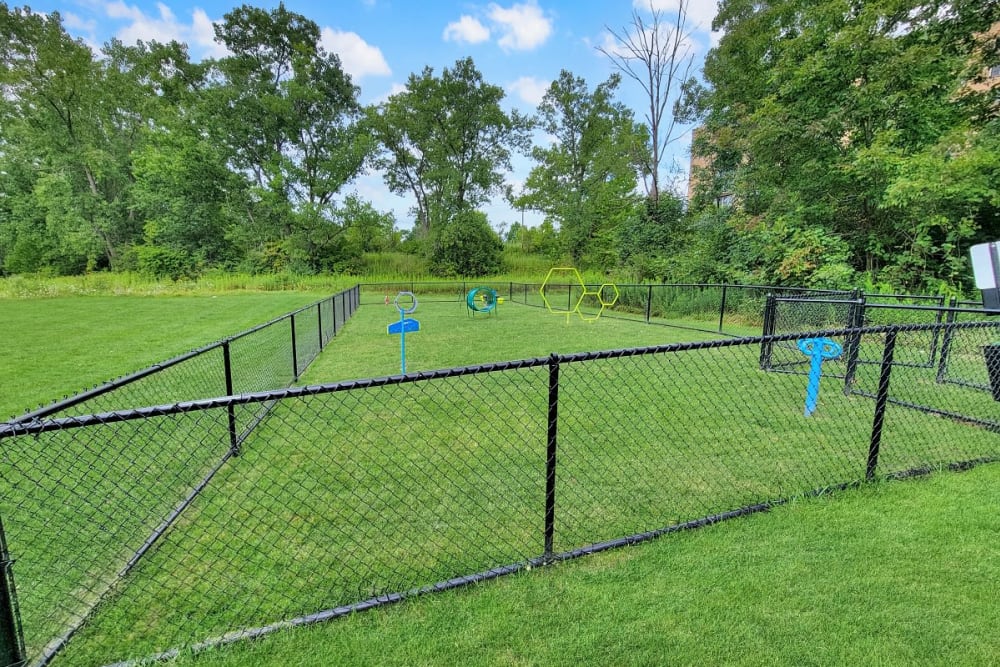 Dog park at Solon Club Apartments in Oakwood Village, Ohio