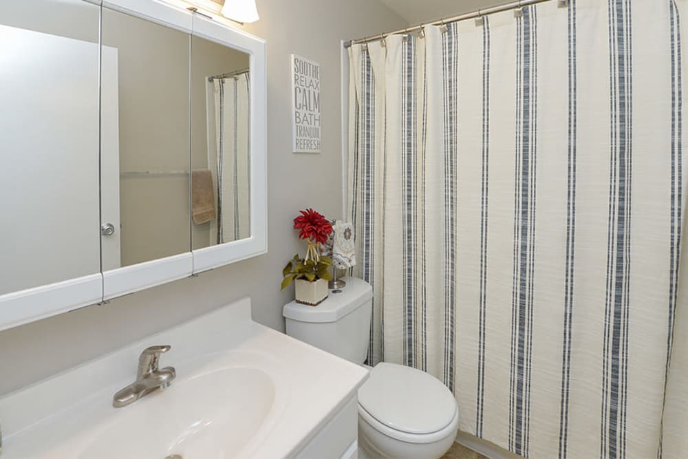 Bathroom with sink, large mirror and tub at Lumberton Apartment Homes in Lumberton, NJ