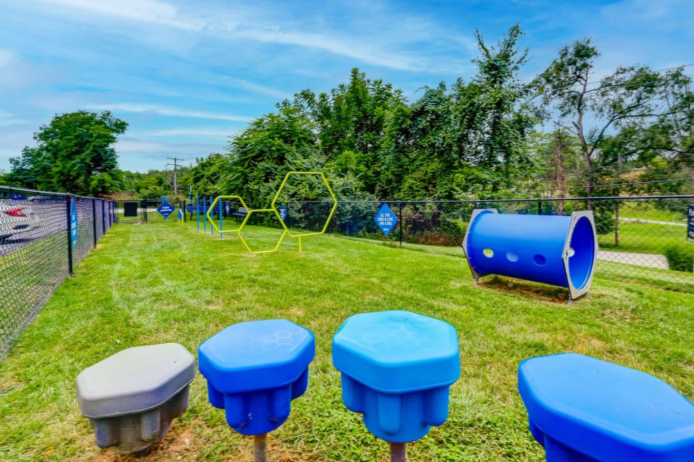 Dog park at Park Place of South Park in South Park, Pennsylvania