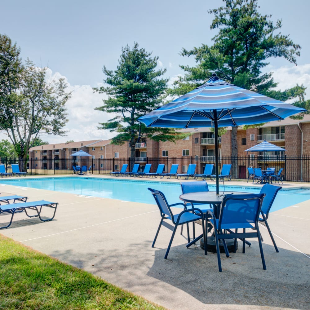 Resort-Style Swimming Pool with Lounge Chairs at Forge Gate Apartment Homes in Lansdale, Pennsylvania