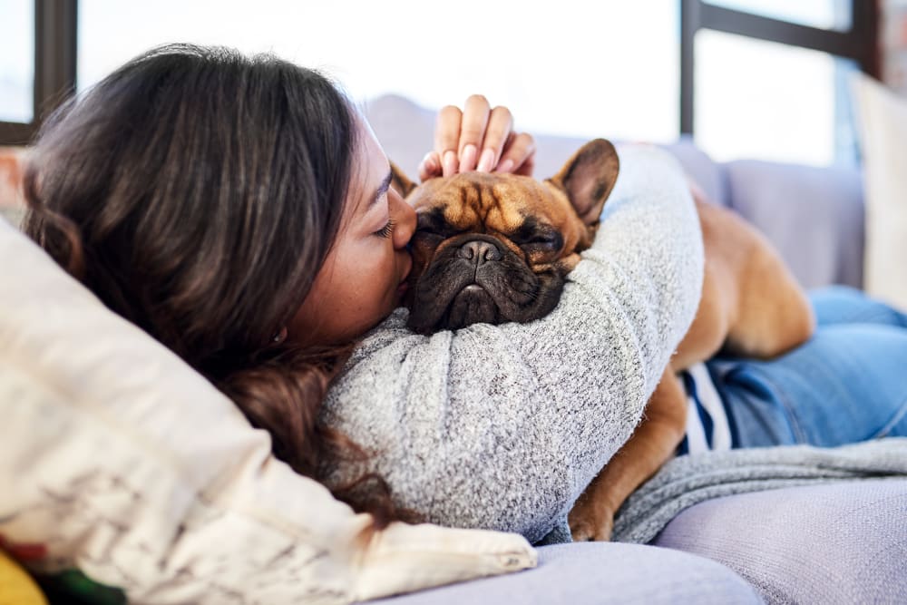 Resident snuggling with her French bulldog at Stonegate at Devon Apartments in Devon, Pennsylvania