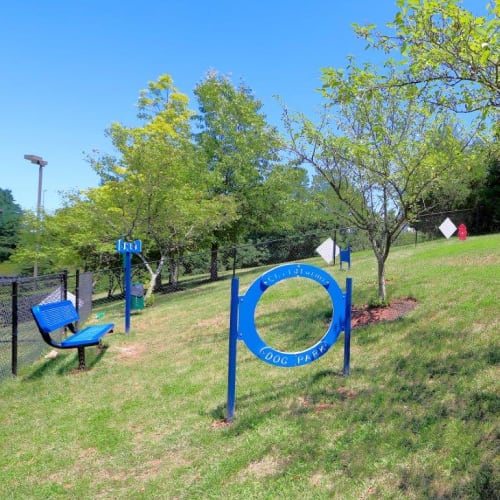 Open Park at Village at Potomac Falls Apartment Homes in Sterling, Virginia