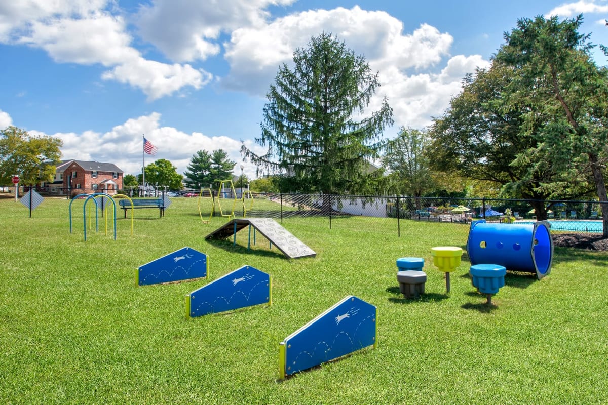 Dog Park with Agility Equipment at The Village of Laurel Ridge & The Encore Apartments & Townhomes in Harrisburg, Pennsylvania