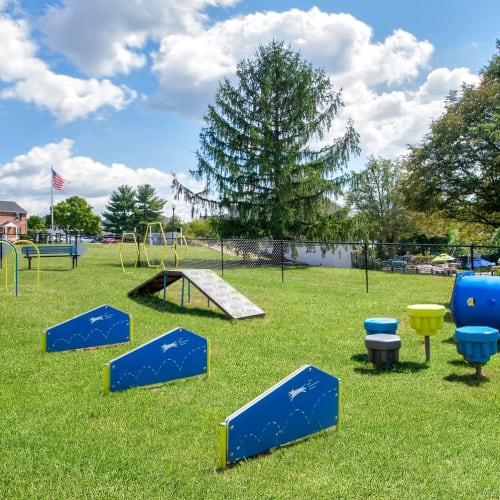 Bark Park at The Village of Laurel Ridge & The Encore Apartments & Townhomes in Harrisburg, Pennsylvania