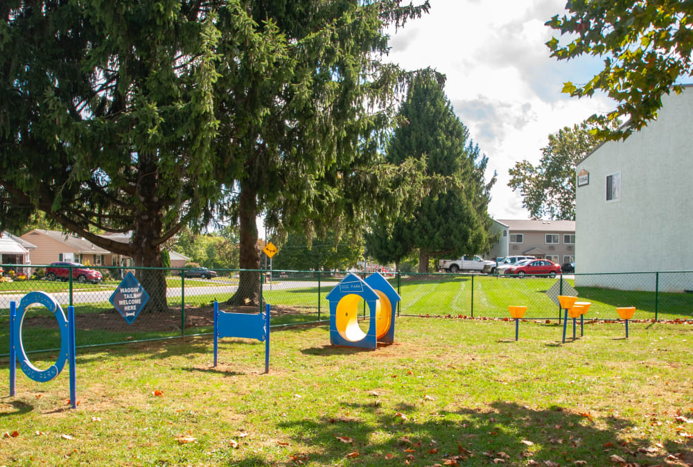 Dog Park at Lincoln Park Apartments & Townhomes in West Lawn, PA