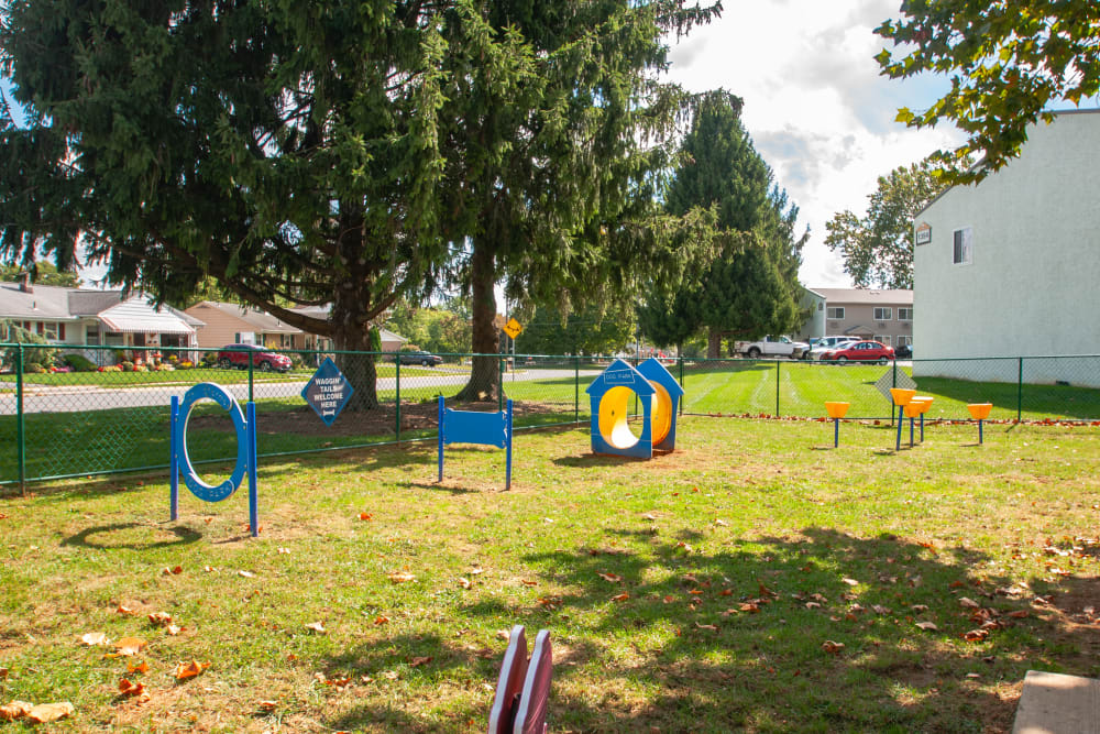 Dog park at Lincoln Park Apartments & Townhomes in West Lawn, Pennsylvania