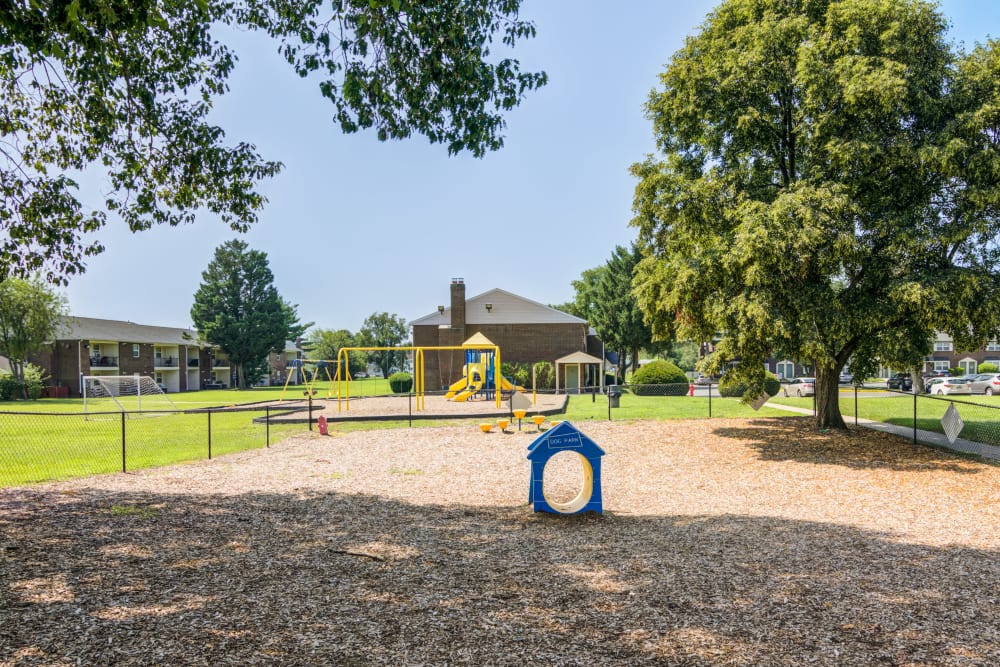 Dog park with agility equpment at Lumberton Apartment Homes in Lumberton, New Jersey