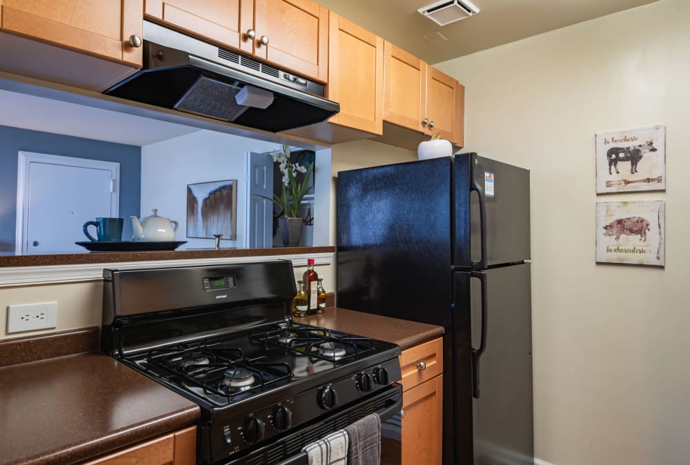 Kitchen at Parke Laurel Apartment Homes apartments in Laurel, Maryland