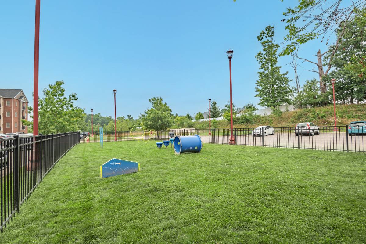 Fenced dog park with agility equipment at Rochester Village Apartments at Park Place in Cranberry Township, Pennsylvania