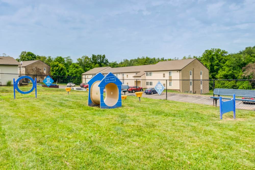 Dog park with agility course at Squires Manor Apartment Homes in South Park, Pennsylvania