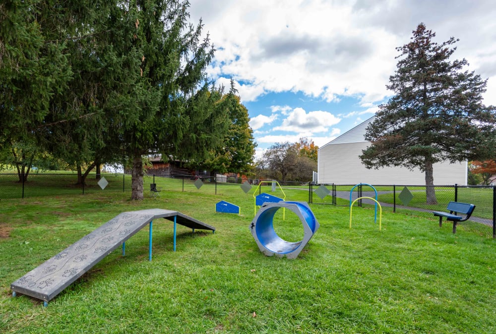 Fenced dog park at Steeplechase Apartments in Camillus, New York