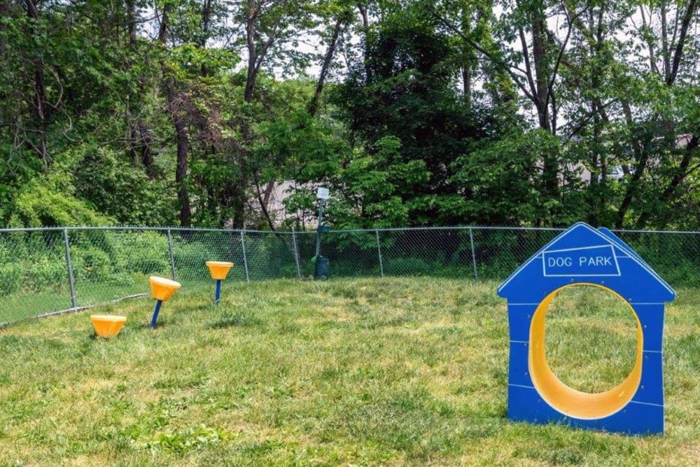 Dog park with agility course at Summit Pointe in Scranton, Pennsylvania