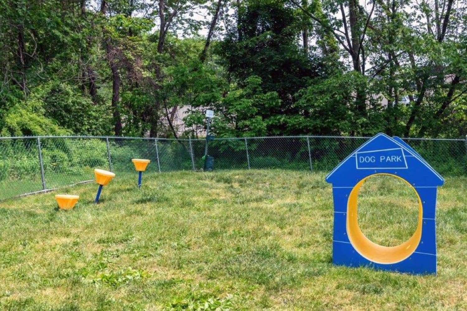 Dog park at Summit Pointe in Scranton, Pennsylvania