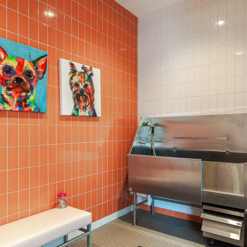 Dog wash station at The Kane in Aliquippa, Pennsylvania