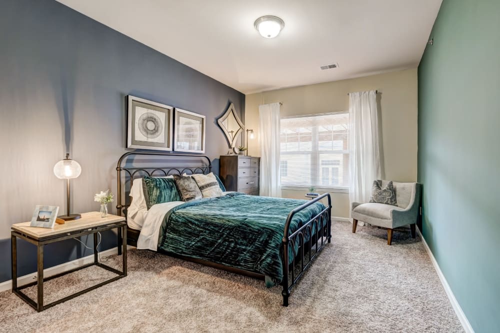Large master bedroom with plush carpeting and an accent wall at Torrente Apartment Homes in Upper St Clair, Pennsylvania