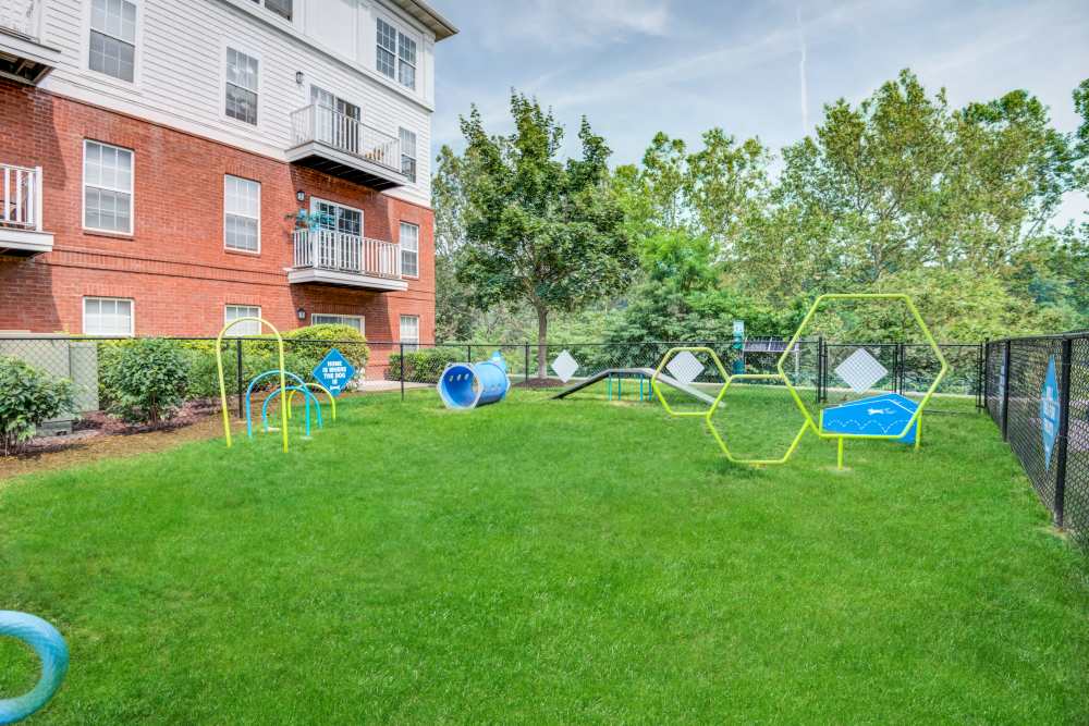 Dog park at The Waterfront Apartments & Townhomes in Munhall, Pennsylvania