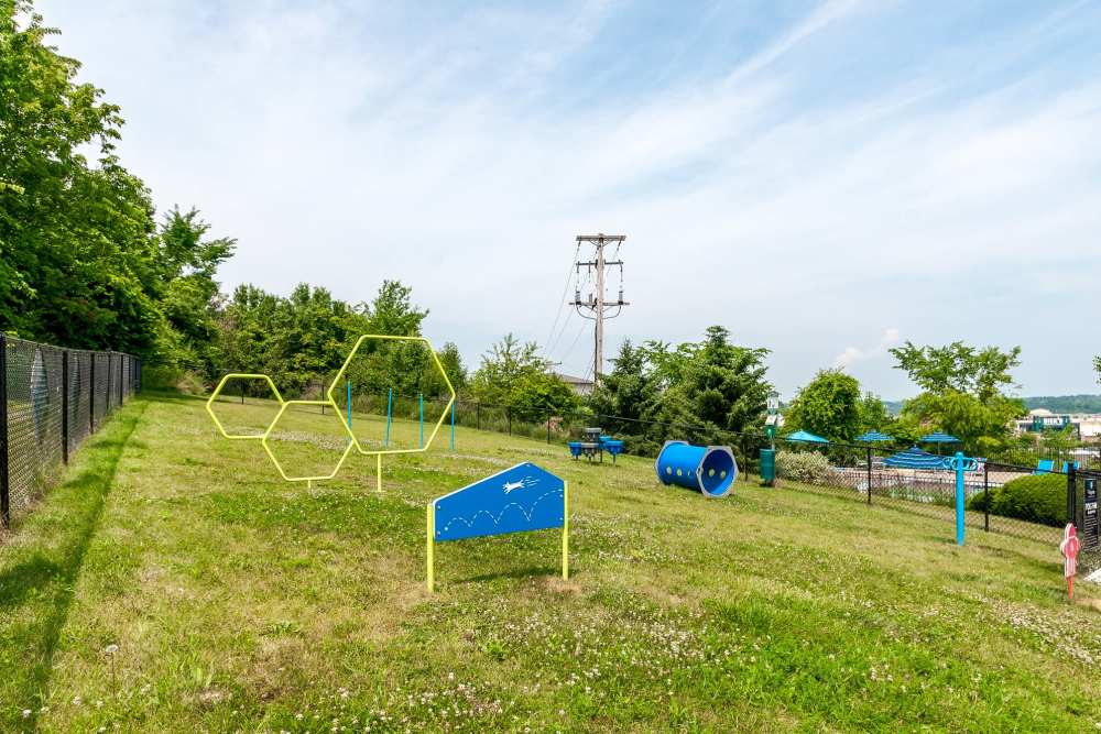 Dog Park with Agility Equipment at Westpointe Apartments in Pittsburgh, Pennsylvania