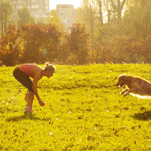 Off-leash dog park at Park West 205 Apartment Homes in Pittsburgh, Pennsylvania